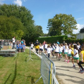 2016 scholenveldloop  125 - Sportraad Zaventem 